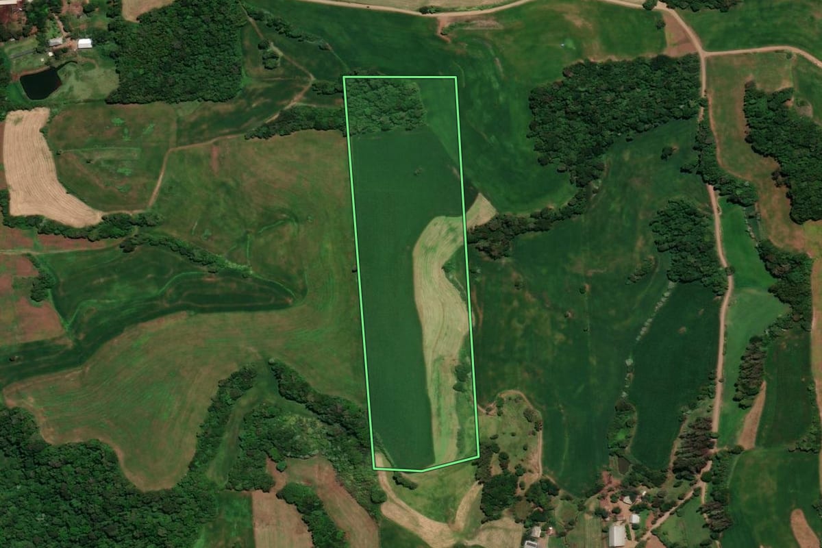 Imagem de satélite do imóvel rural em Rondinha (RS), com o contorno declarado no CAR desenhado por cima.