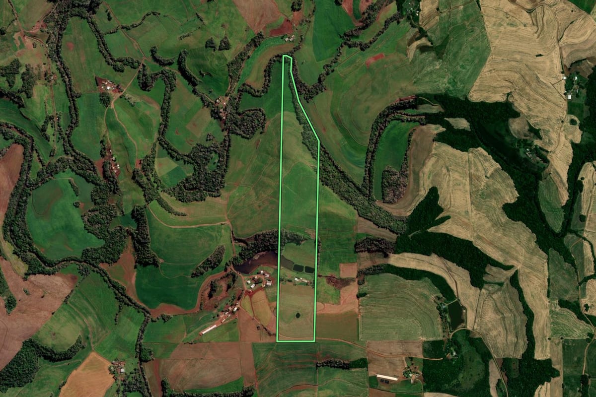 Imagem de satélite do imóvel rural em Rondinha (RS), com o contorno declarado no CAR desenhado por cima.
