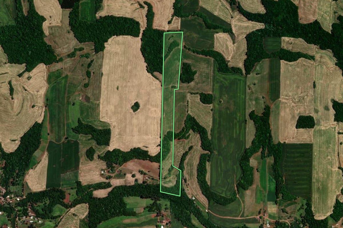 Imagem de satélite do imóvel rural em Rondinha (RS), com o contorno declarado no CAR desenhado por cima.