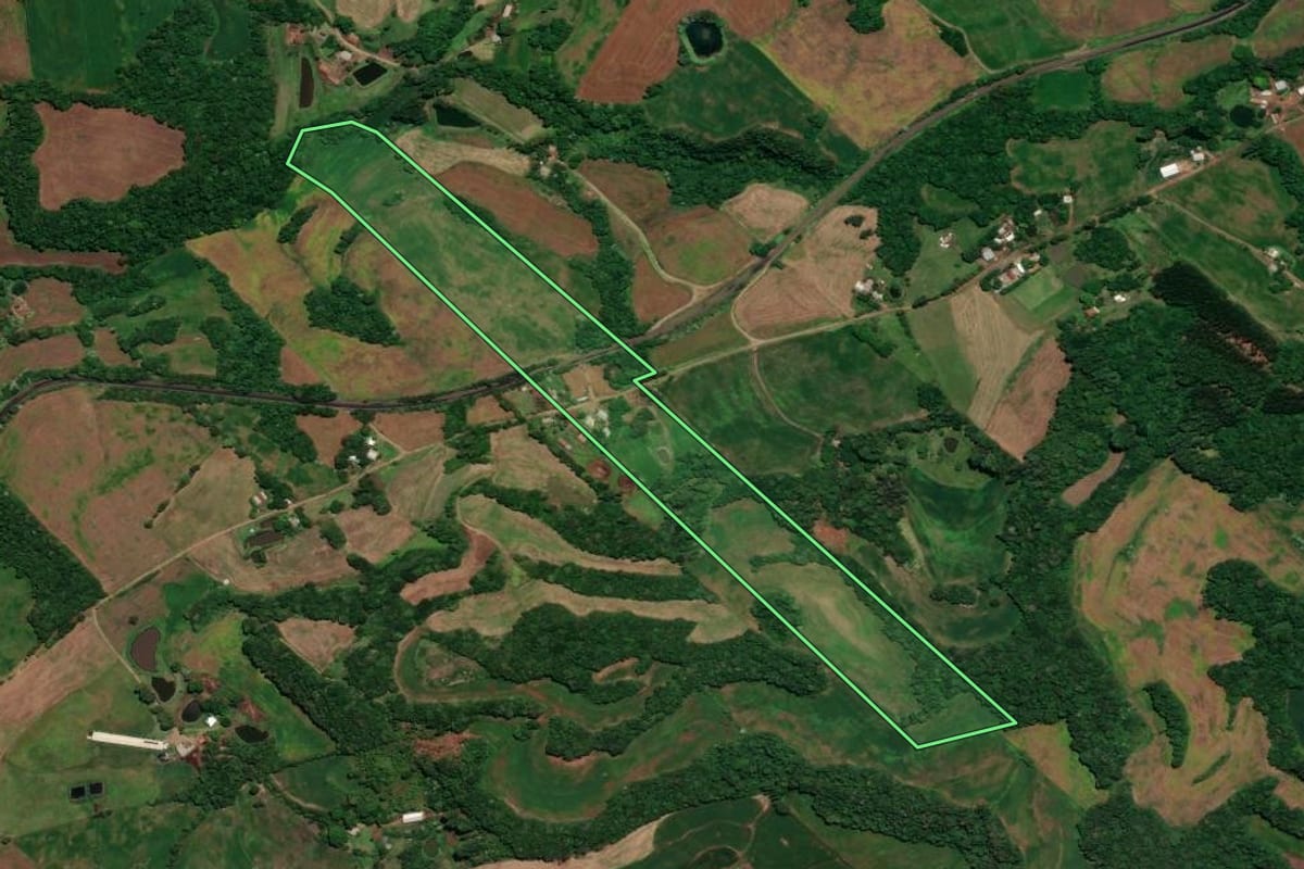 Imagem de satélite do imóvel rural em Rondinha (RS), com o contorno declarado no CAR desenhado por cima.