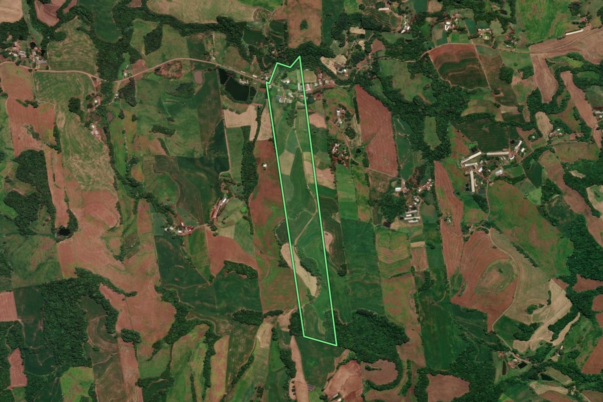 Imagem de satélite do imóvel rural em Rondinha (RS), com o contorno declarado no CAR desenhado por cima.
