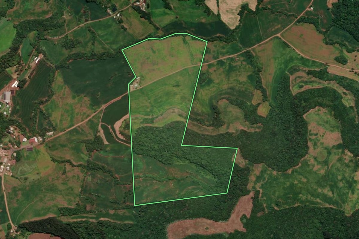 Imagem de satélite do imóvel rural em Rondinha (RS), com o contorno declarado no CAR desenhado por cima.