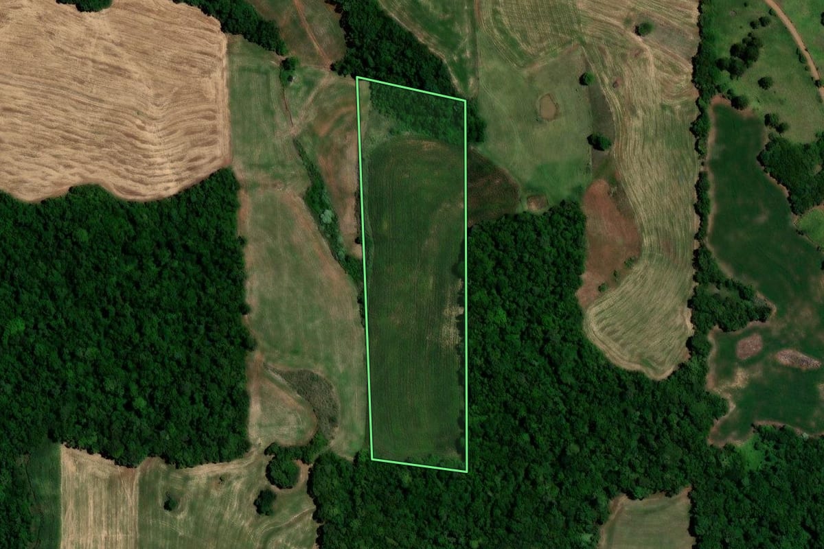 Imagem de satélite do imóvel rural em Rondinha (RS), com o contorno declarado no CAR desenhado por cima.