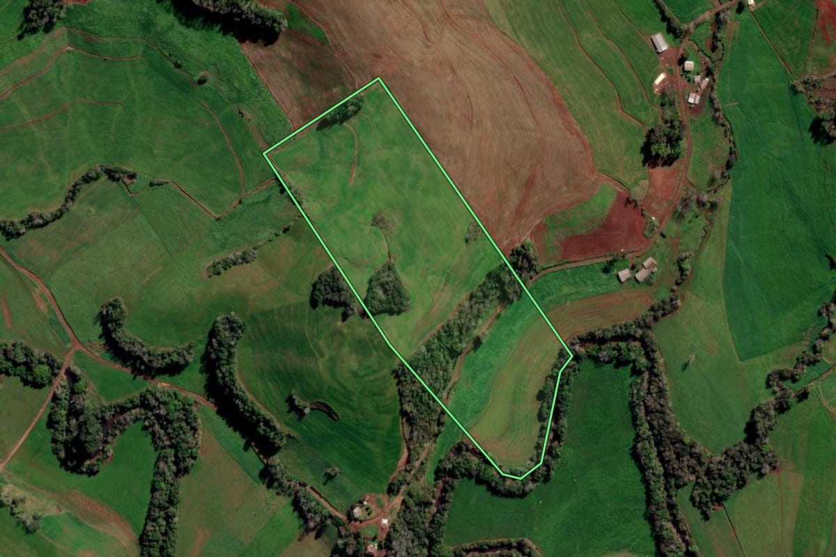 Imagem de satélite do imóvel rural em Rondinha (RS), com o contorno declarado no CAR desenhado por cima.