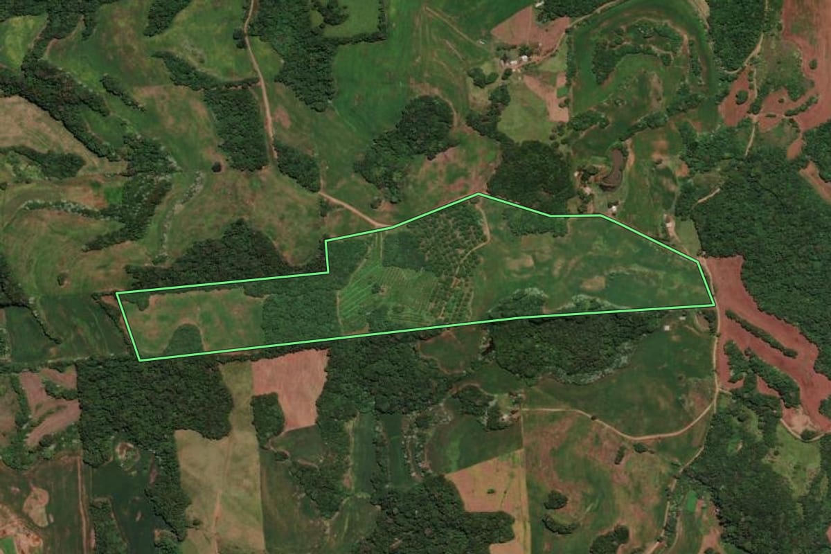Imagem de satélite do imóvel rural em Rondinha (RS), com o contorno declarado no CAR desenhado por cima.