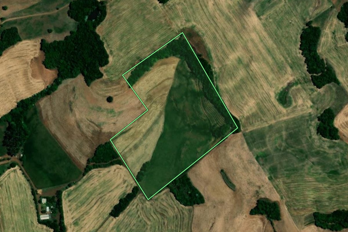 Imagem de satélite do imóvel rural em Rondinha (RS), com o contorno declarado no CAR desenhado por cima.