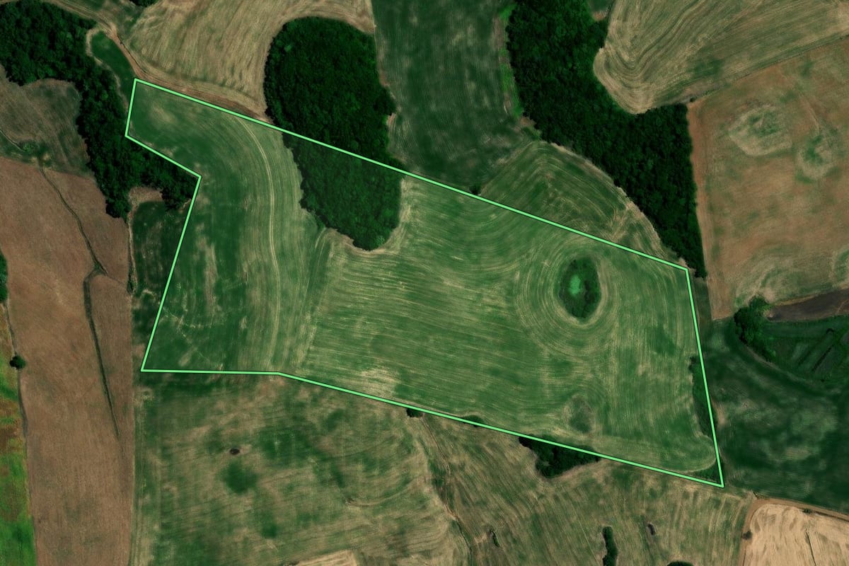 Imagem de satélite do imóvel rural em Rondinha (RS), com o contorno declarado no CAR desenhado por cima.