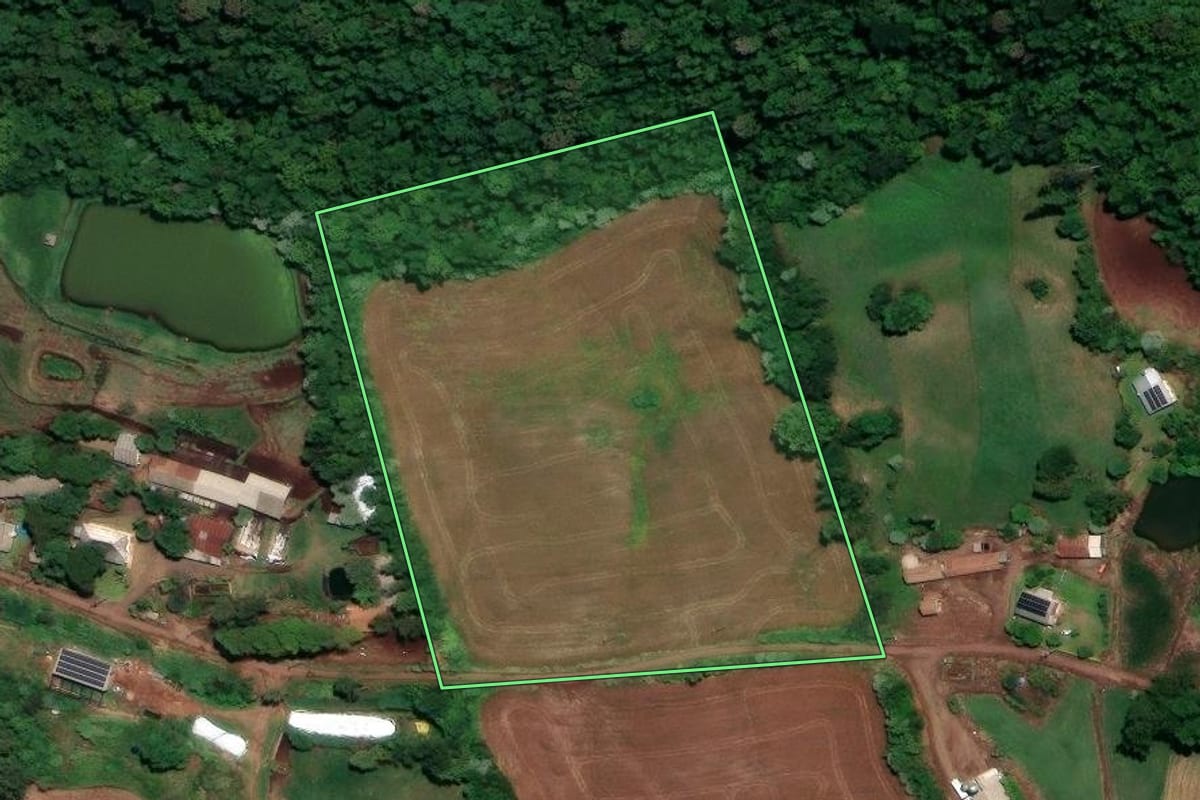 Imagem de satélite do imóvel rural em Ronda Alta (RS), com o contorno declarado no CAR desenhado por cima.