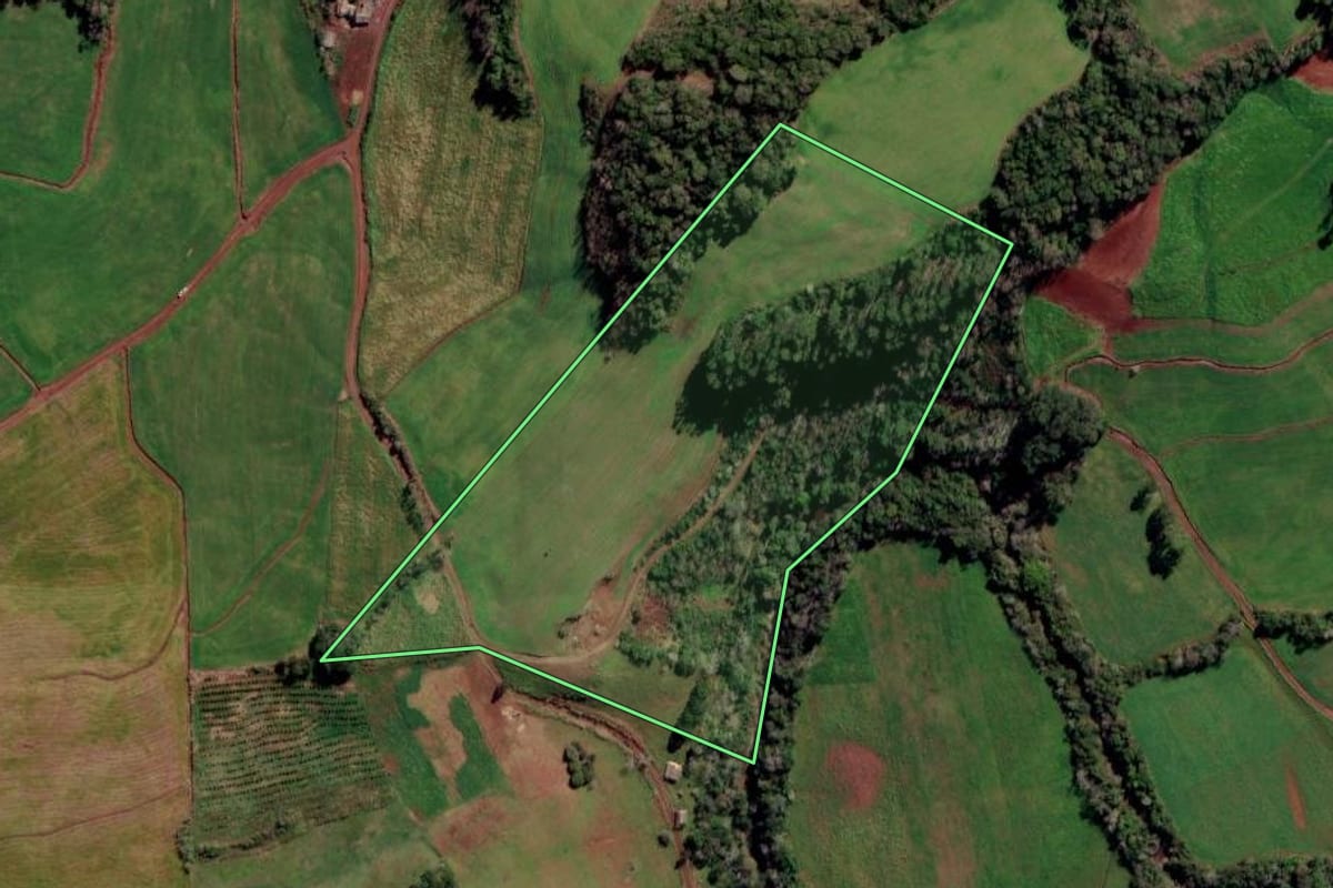 Imagem de satélite do imóvel rural em Rondinha (RS), com o contorno declarado no CAR desenhado por cima.