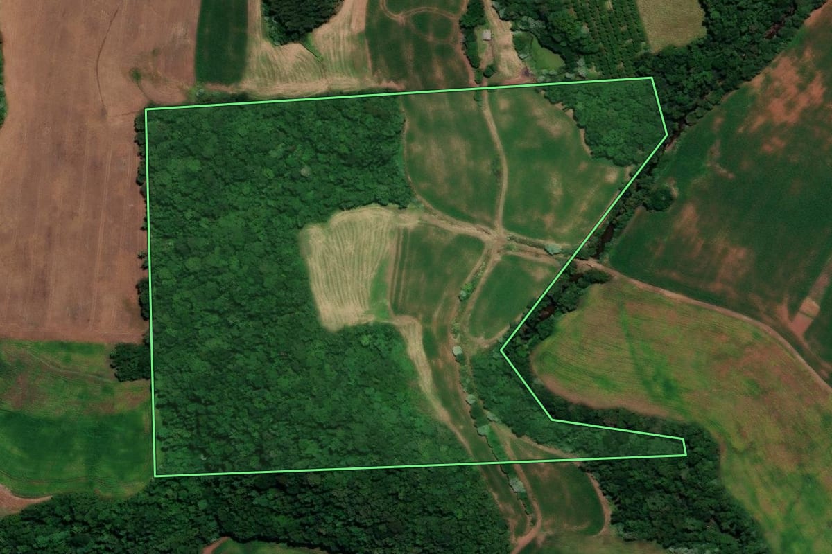 Imagem de satélite do imóvel rural em Rondinha (RS), com o contorno declarado no CAR desenhado por cima.