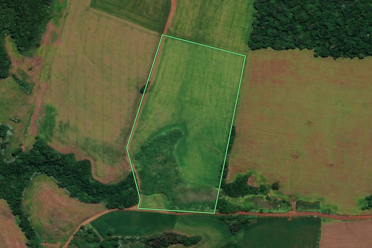 Imagem de satélite do imóvel rural em Rondinha (RS), com o contorno declarado no CAR desenhado por cima.