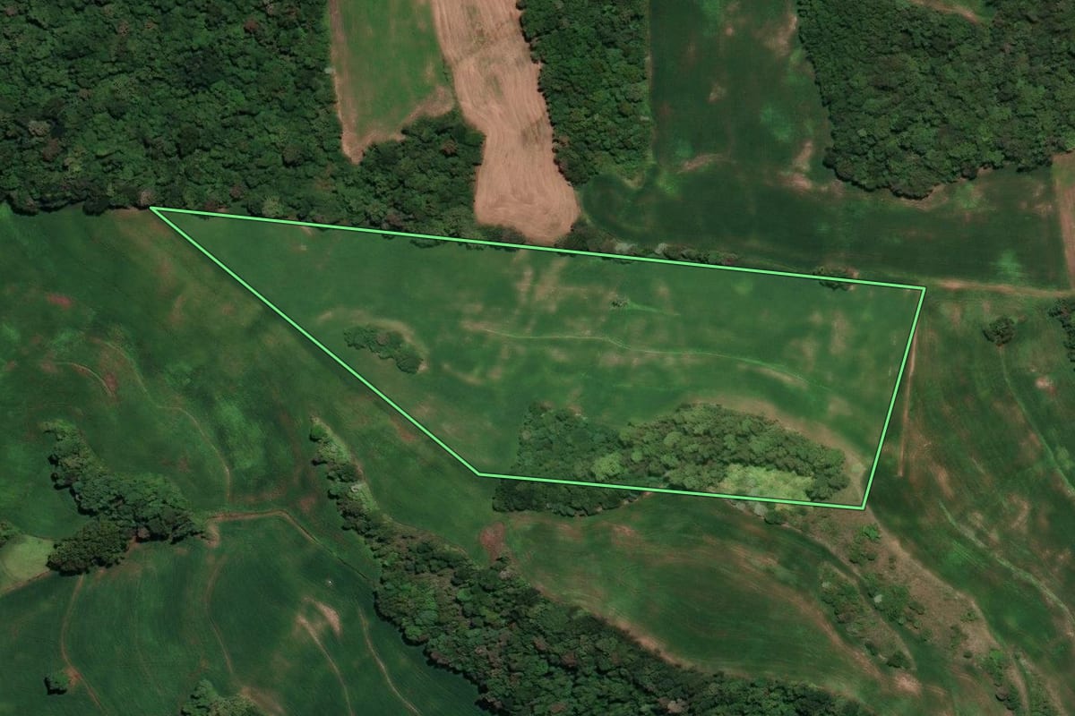 Imagem de satélite do imóvel rural em Rondinha (RS), com o contorno declarado no CAR desenhado por cima.