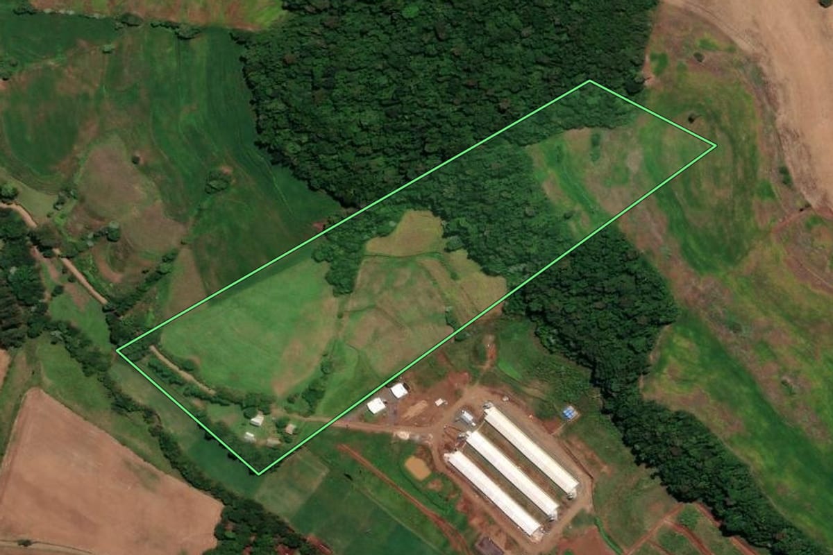 Imagem de satélite do imóvel rural em Rondinha (RS), com o contorno declarado no CAR desenhado por cima.