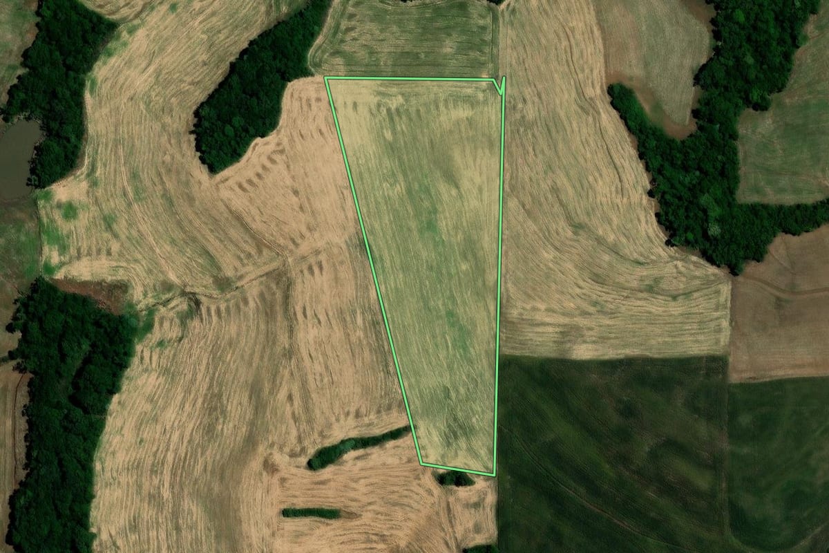 Imagem de satélite do imóvel rural em Rondinha (RS), com o contorno declarado no CAR desenhado por cima.