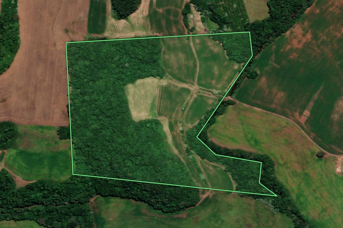 Imagem de satélite do imóvel rural em Rondinha (RS), com o contorno declarado no CAR desenhado por cima.