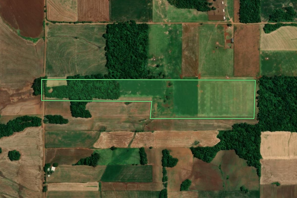 Imagem de satélite do imóvel rural em Roque Gonzales (RS), com o contorno declarado no CAR desenhado por cima.