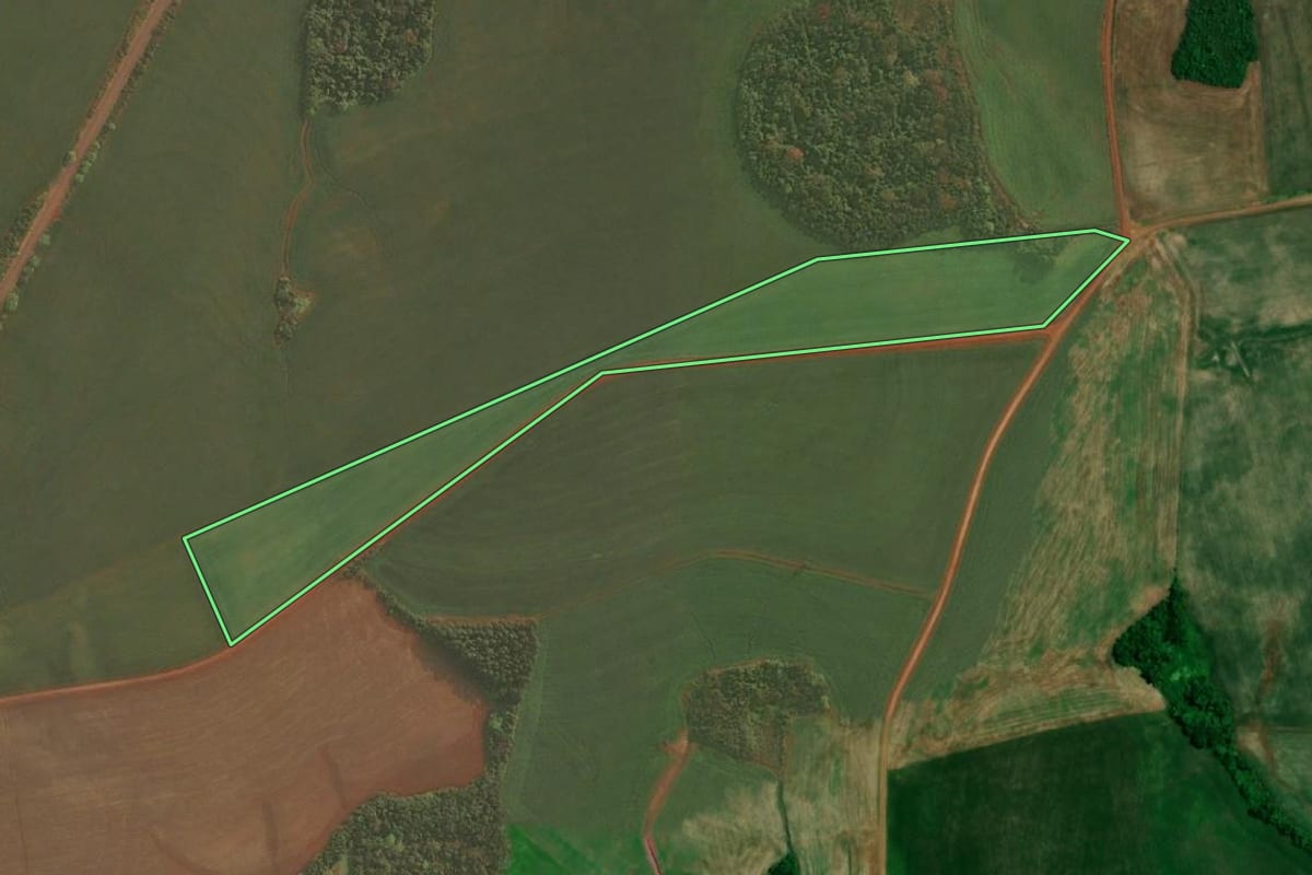 Imagem de satélite do imóvel rural em Roque Gonzales (RS), com o contorno declarado no CAR desenhado por cima.