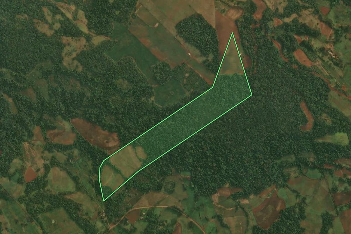Imagem de satélite do imóvel rural em Roque Gonzales (RS), com o contorno declarado no CAR desenhado por cima.