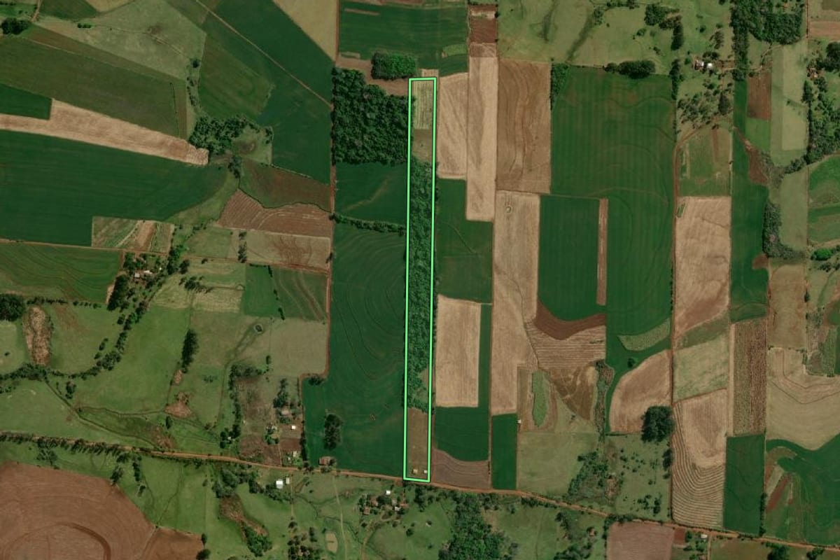 Imagem de satélite do imóvel rural em Roque Gonzales (RS), com o contorno declarado no CAR desenhado por cima.