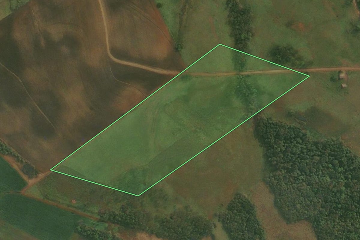 Imagem de satélite do imóvel rural em Roque Gonzales (RS), com o contorno declarado no CAR desenhado por cima.