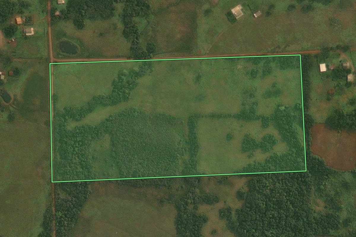 Imagem de satélite do imóvel rural em Roque Gonzales (RS), com o contorno declarado no CAR desenhado por cima.