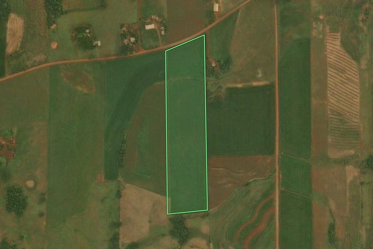 Imagem de satélite do imóvel rural em Roque Gonzales (RS), com o contorno declarado no CAR desenhado por cima.