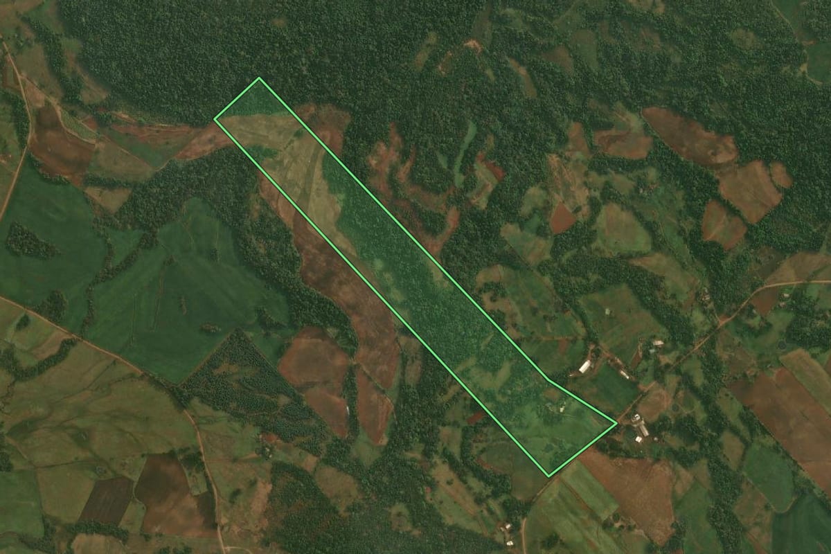 Imagem de satélite do imóvel rural em Roque Gonzales (RS), com o contorno declarado no CAR desenhado por cima.