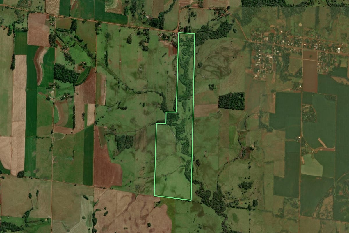 Imagem de satélite do imóvel rural em Roque Gonzales (RS), com o contorno declarado no CAR desenhado por cima.
