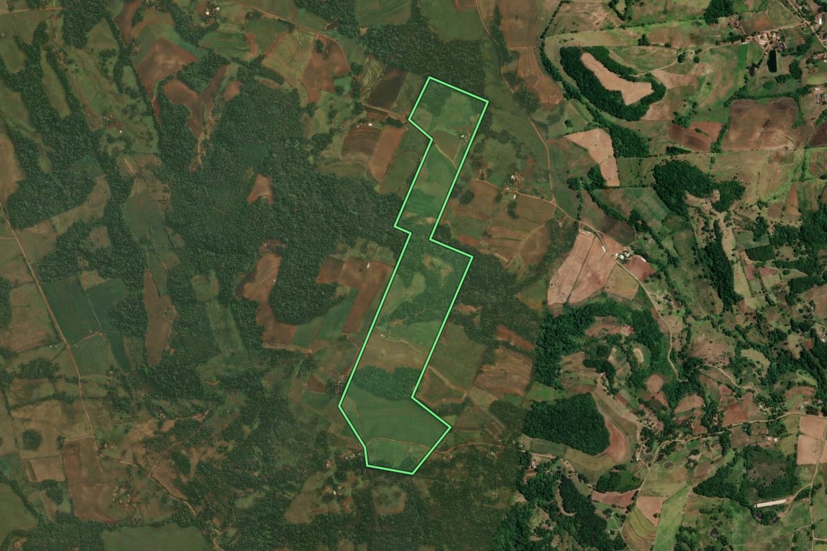 Imagem de satélite do imóvel rural em Roque Gonzales (RS), com o contorno declarado no CAR desenhado por cima.