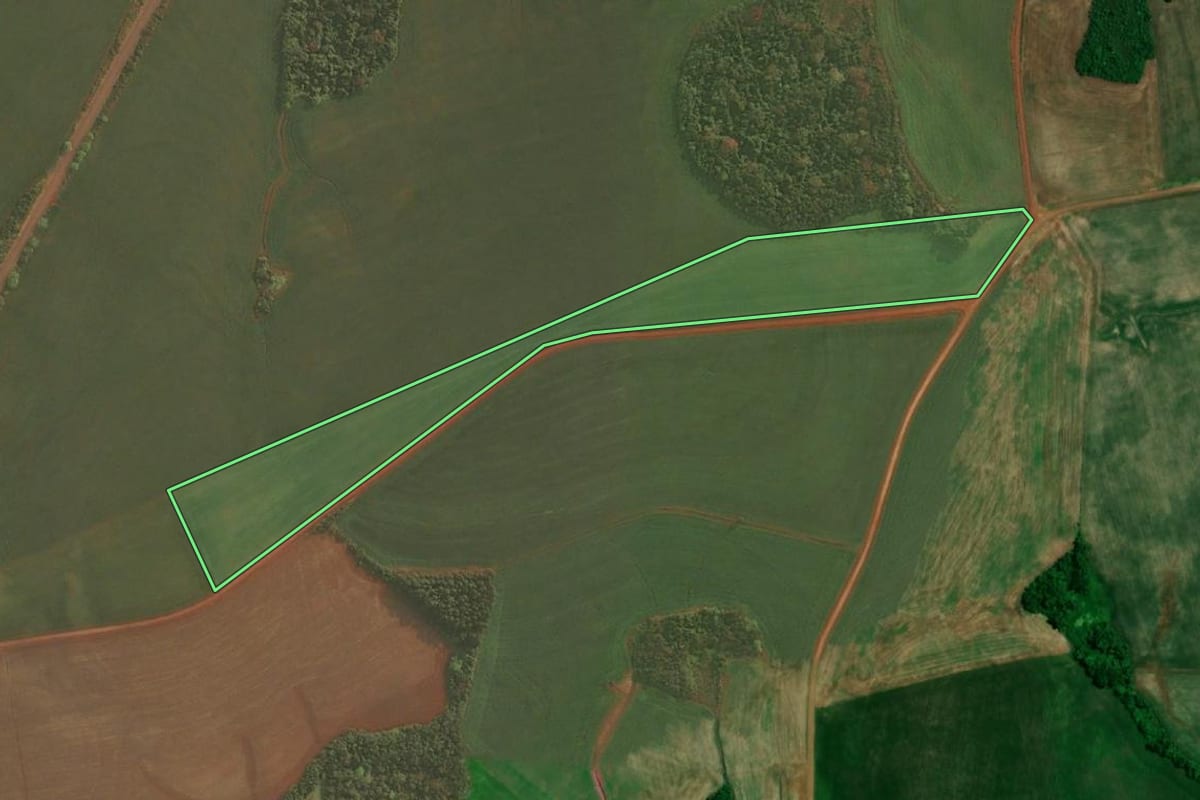 Imagem de satélite do imóvel rural em Roque Gonzales (RS), com o contorno declarado no CAR desenhado por cima.