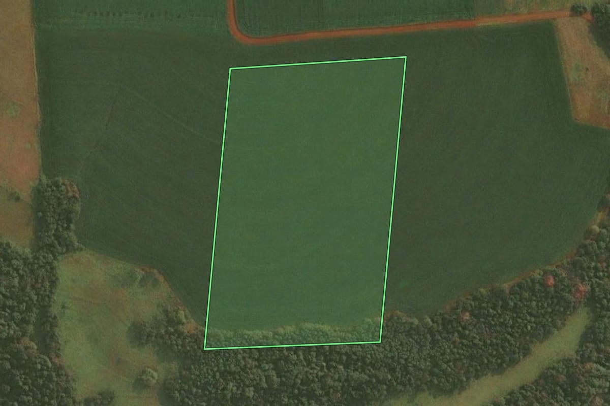 Imagem de satélite do imóvel rural em Roque Gonzales (RS), com o contorno declarado no CAR desenhado por cima.