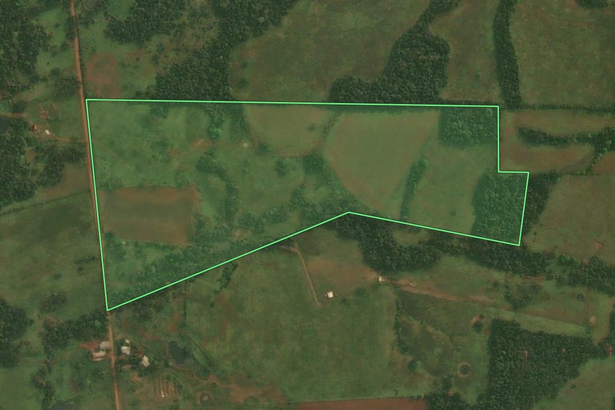 Imagem de satélite do imóvel rural em Roque Gonzales (RS), com o contorno declarado no CAR desenhado por cima.