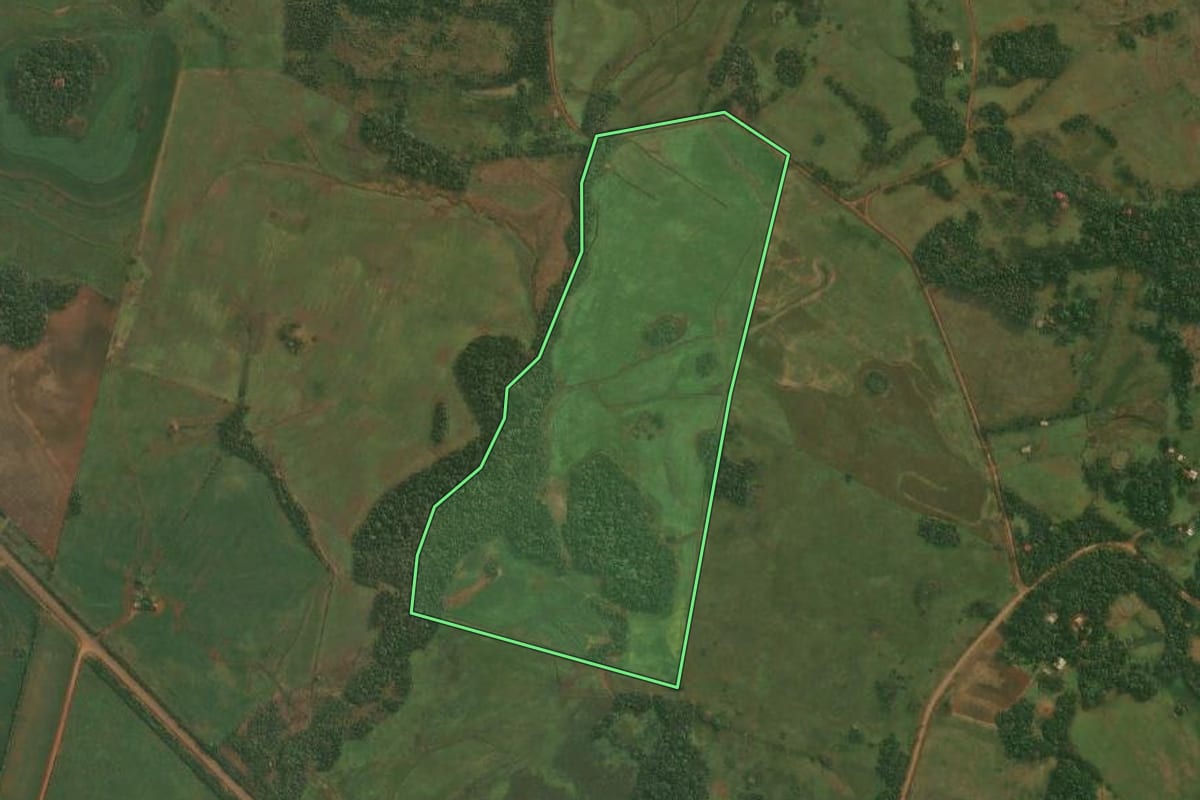 Imagem de satélite do imóvel rural em Roque Gonzales (RS), com o contorno declarado no CAR desenhado por cima.