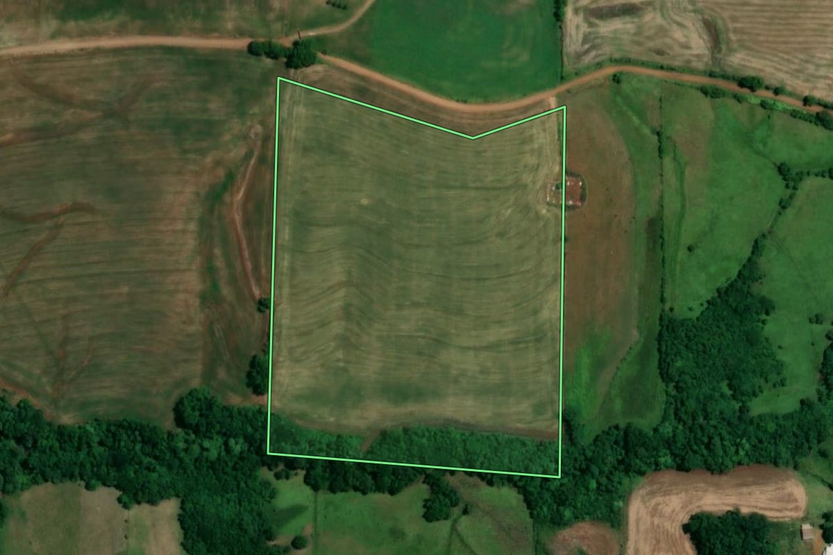 Imagem de satélite do imóvel rural em Roque Gonzales (RS), com o contorno declarado no CAR desenhado por cima.