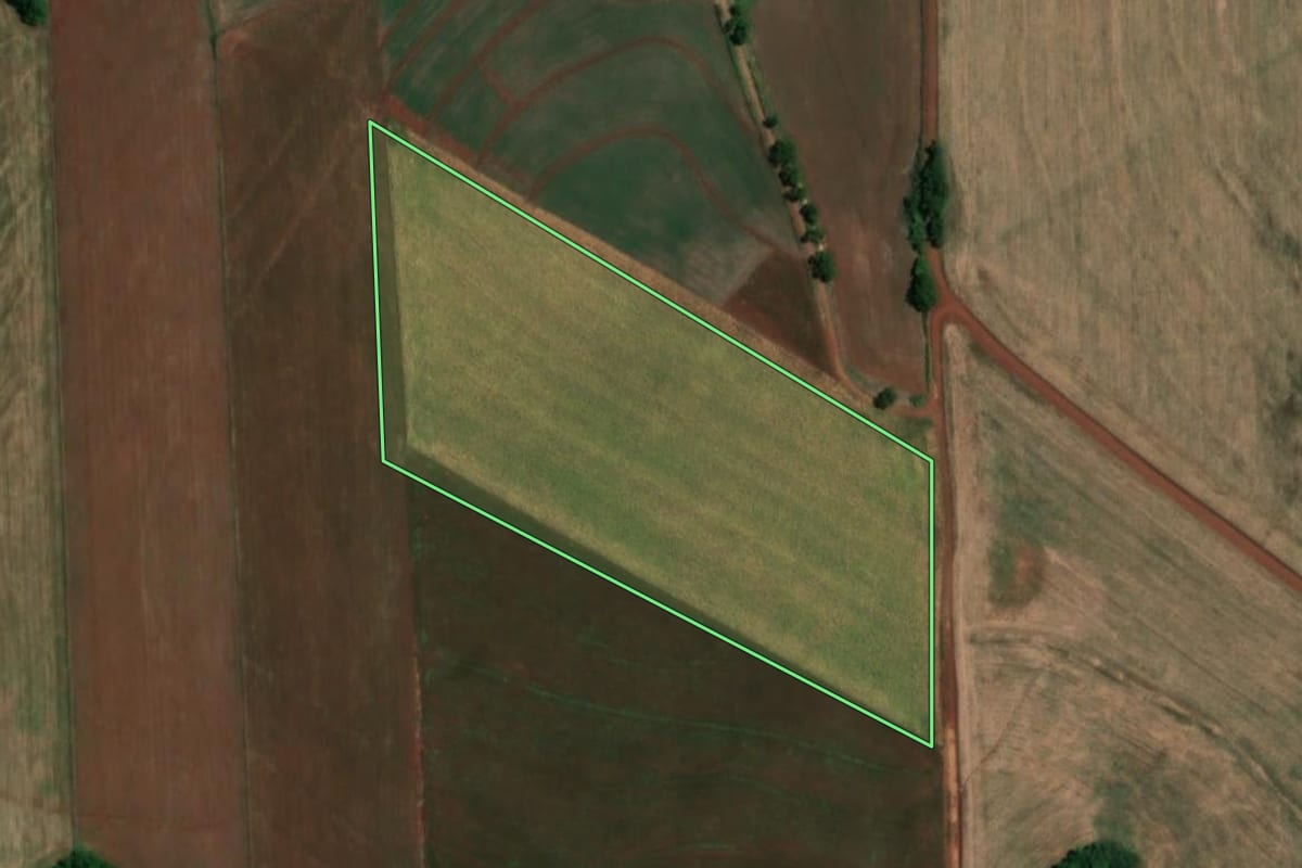Imagem de satélite do imóvel rural em Roque Gonzales (RS), com o contorno declarado no CAR desenhado por cima.