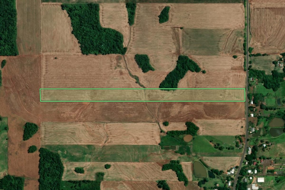Imagem de satélite do imóvel rural em Roque Gonzales (RS), com o contorno declarado no CAR desenhado por cima.
