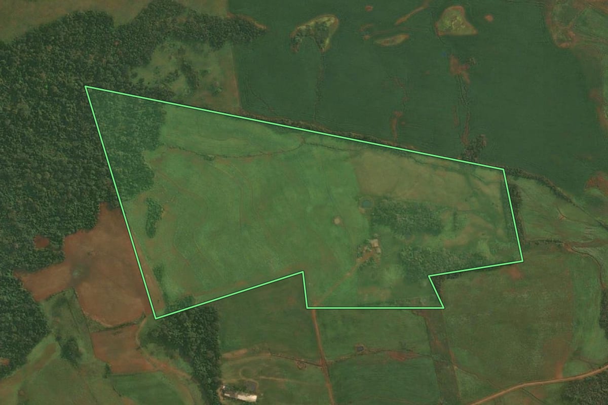 Imagem de satélite do imóvel rural em Roque Gonzales (RS), com o contorno declarado no CAR desenhado por cima.