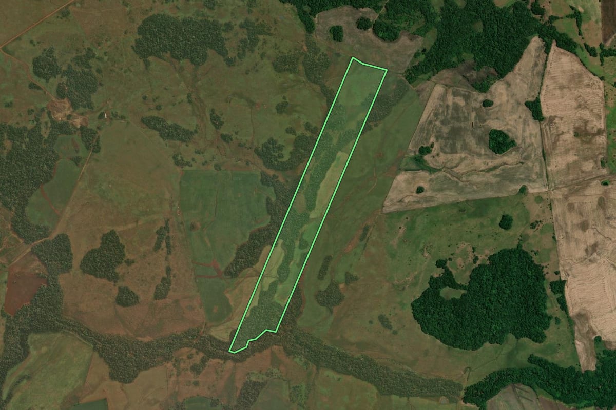 Imagem de satélite do imóvel rural em Roque Gonzales (RS), com o contorno declarado no CAR desenhado por cima.