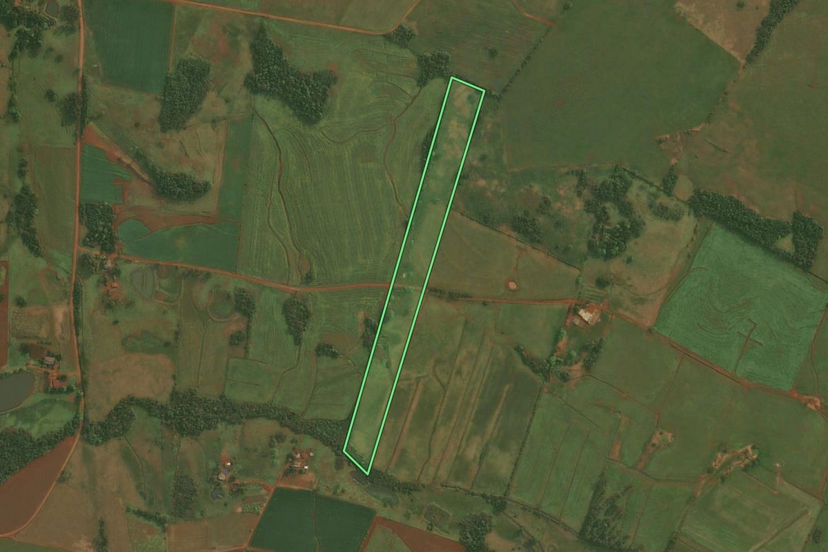 Imagem de satélite do imóvel rural em Roque Gonzales (RS), com o contorno declarado no CAR desenhado por cima.