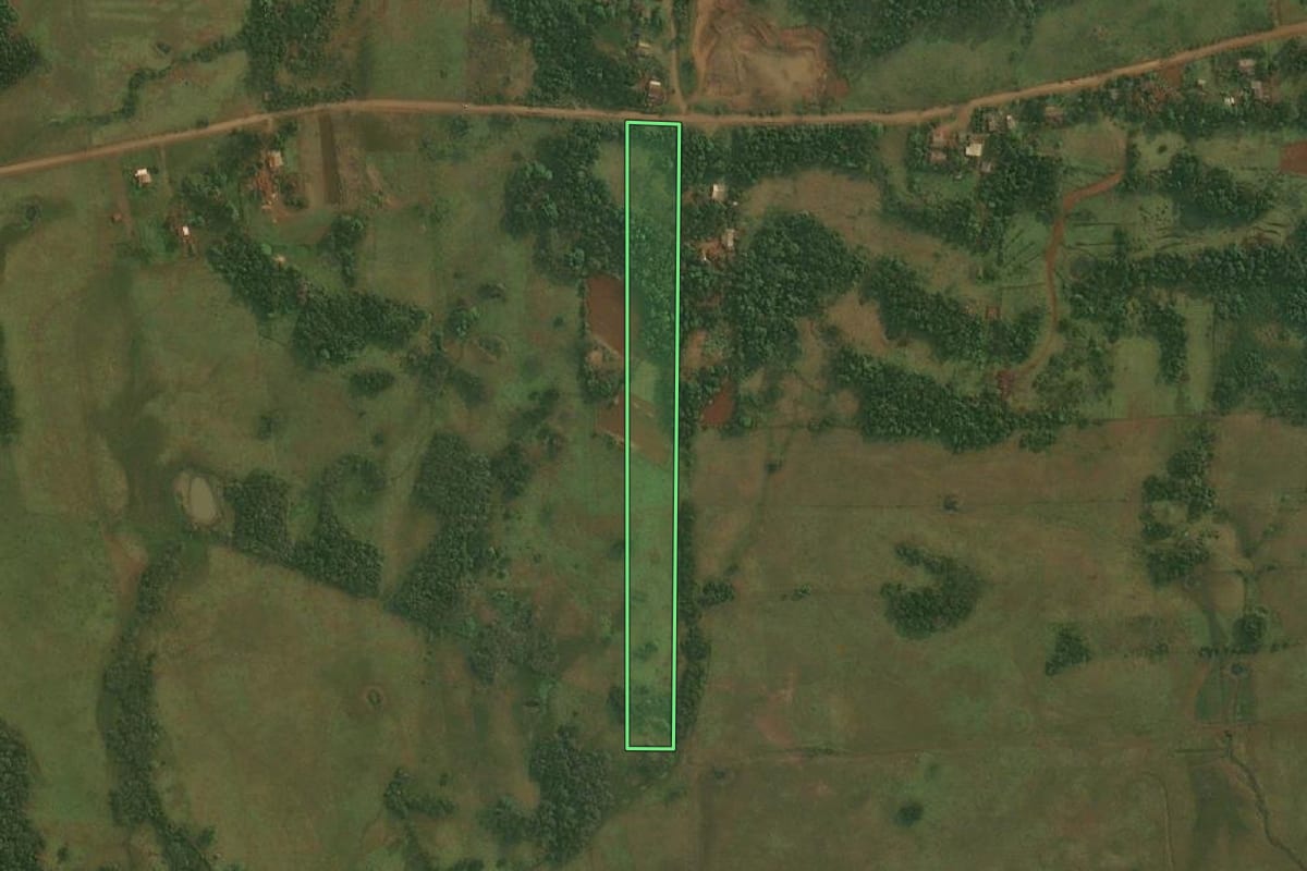 Imagem de satélite do imóvel rural em Roque Gonzales (RS), com o contorno declarado no CAR desenhado por cima.
