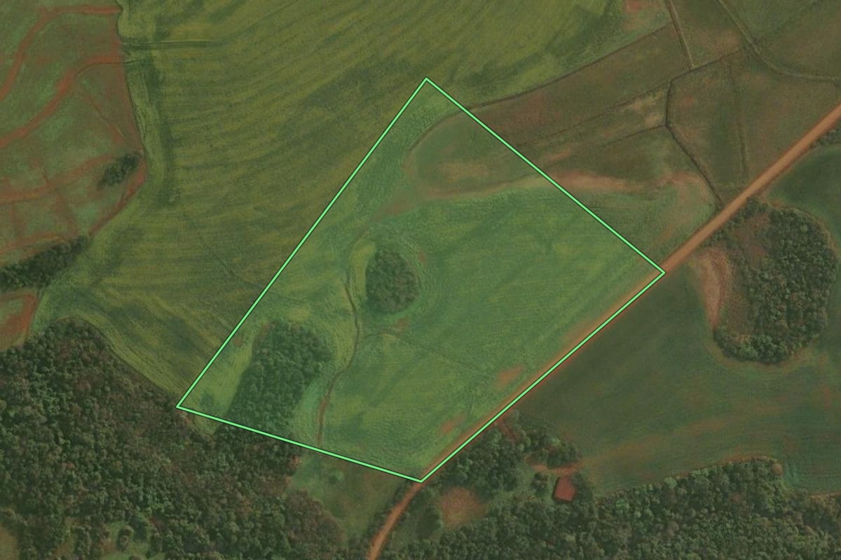 Imagem de satélite do imóvel rural em Roque Gonzales (RS), com o contorno declarado no CAR desenhado por cima.