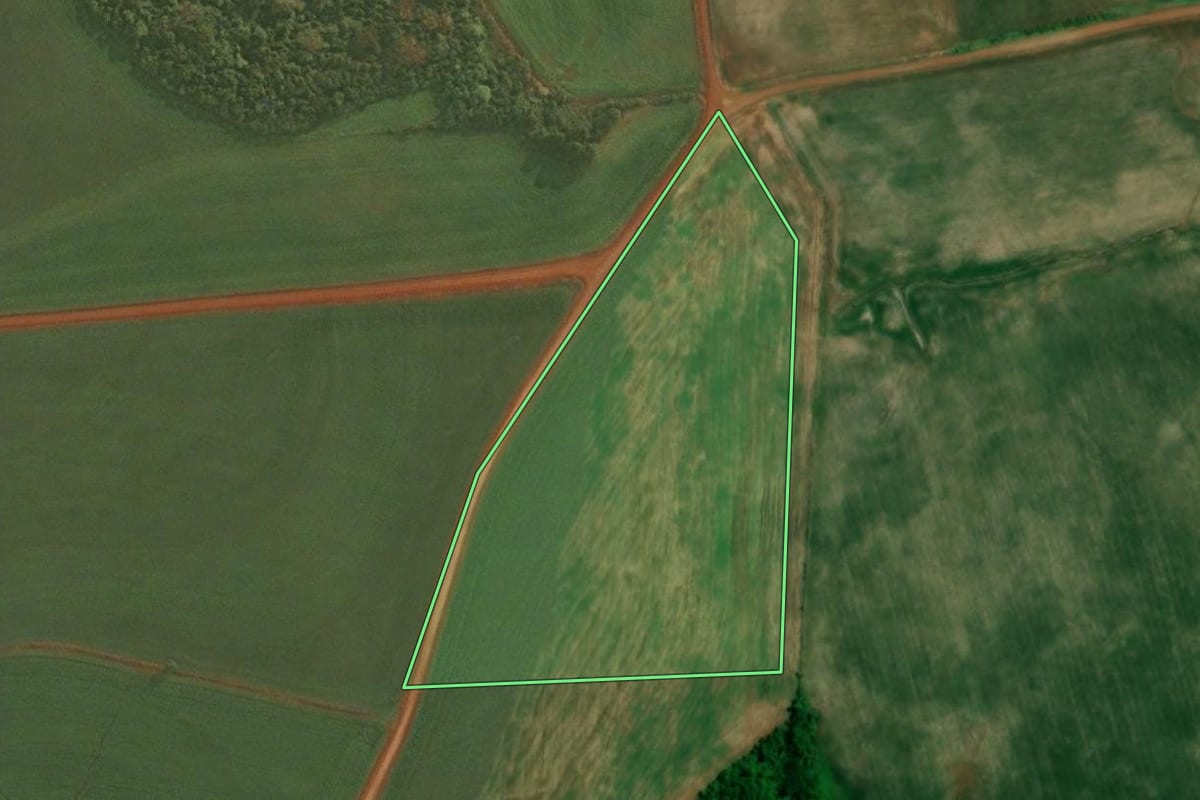 Imagem de satélite do imóvel rural em Roque Gonzales (RS), com o contorno declarado no CAR desenhado por cima.