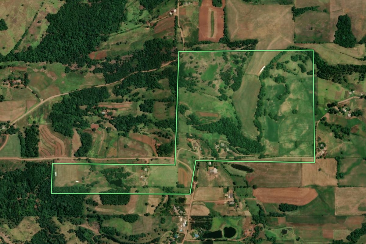 Imagem de satélite do imóvel rural em Roque Gonzales (RS), com o contorno declarado no CAR desenhado por cima.