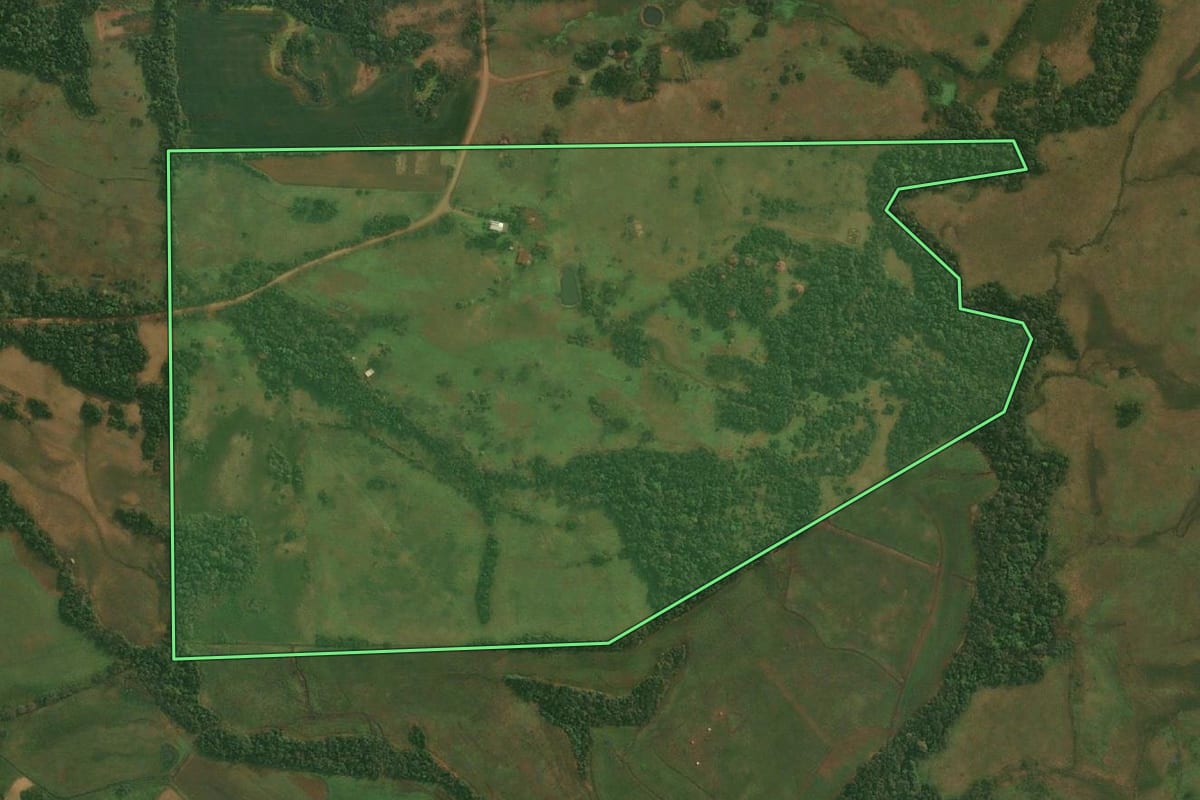 Imagem de satélite do imóvel rural em Roque Gonzales (RS), com o contorno declarado no CAR desenhado por cima.