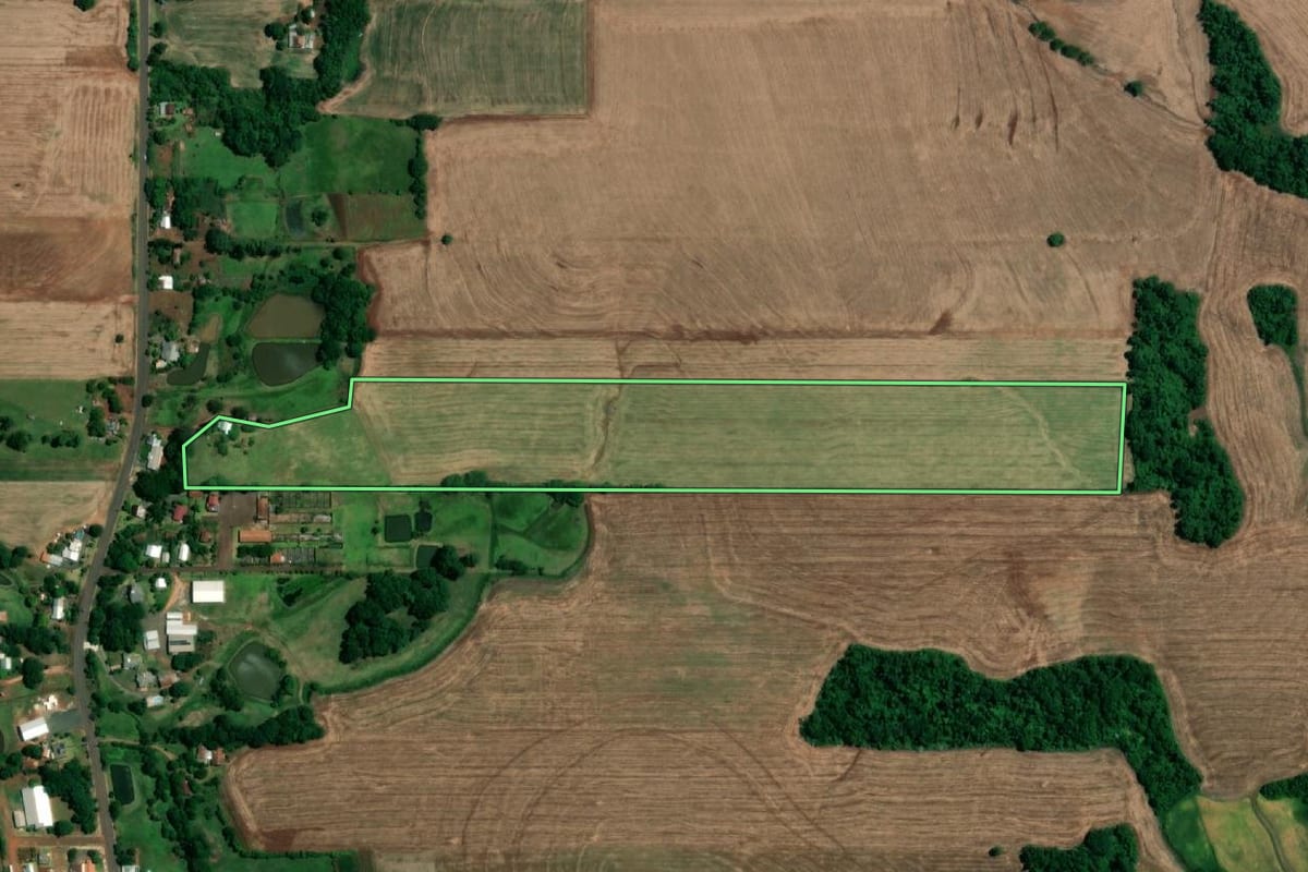 Imagem de satélite do imóvel rural em Roque Gonzales (RS), com o contorno declarado no CAR desenhado por cima.