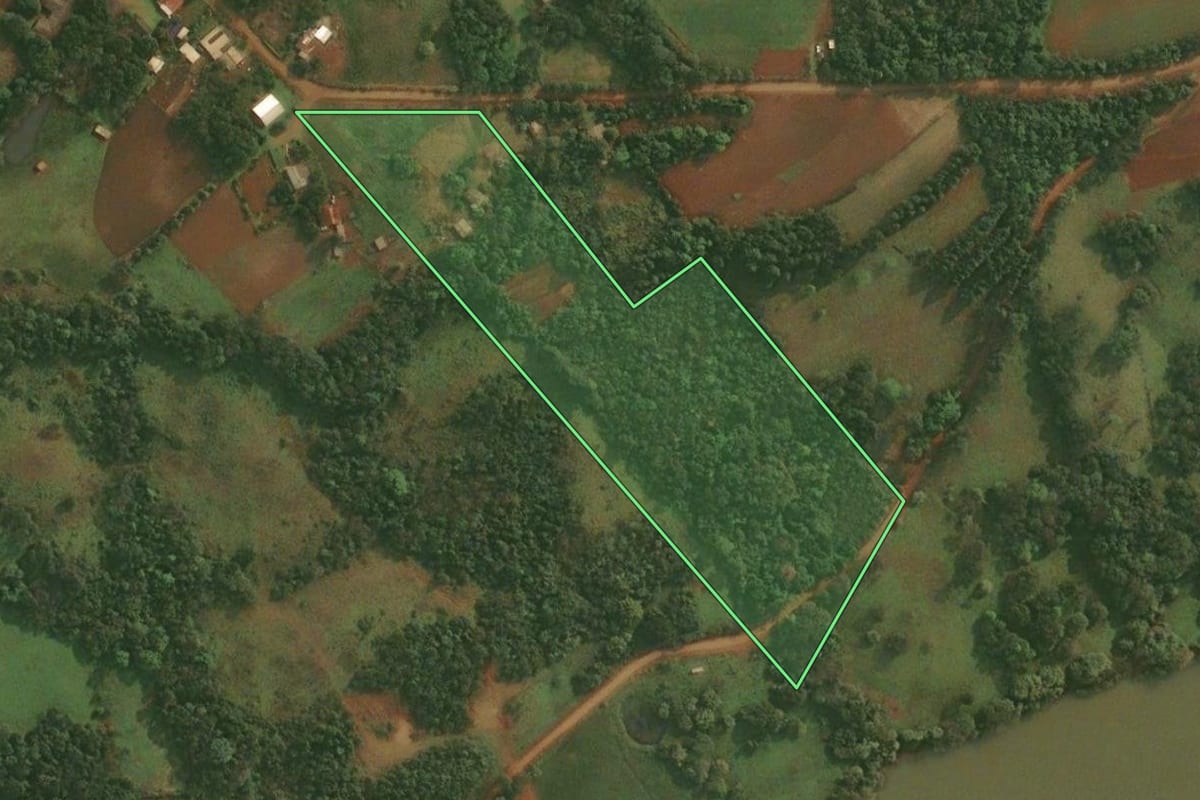 Imagem de satélite do imóvel rural em Roque Gonzales (RS), com o contorno declarado no CAR desenhado por cima.