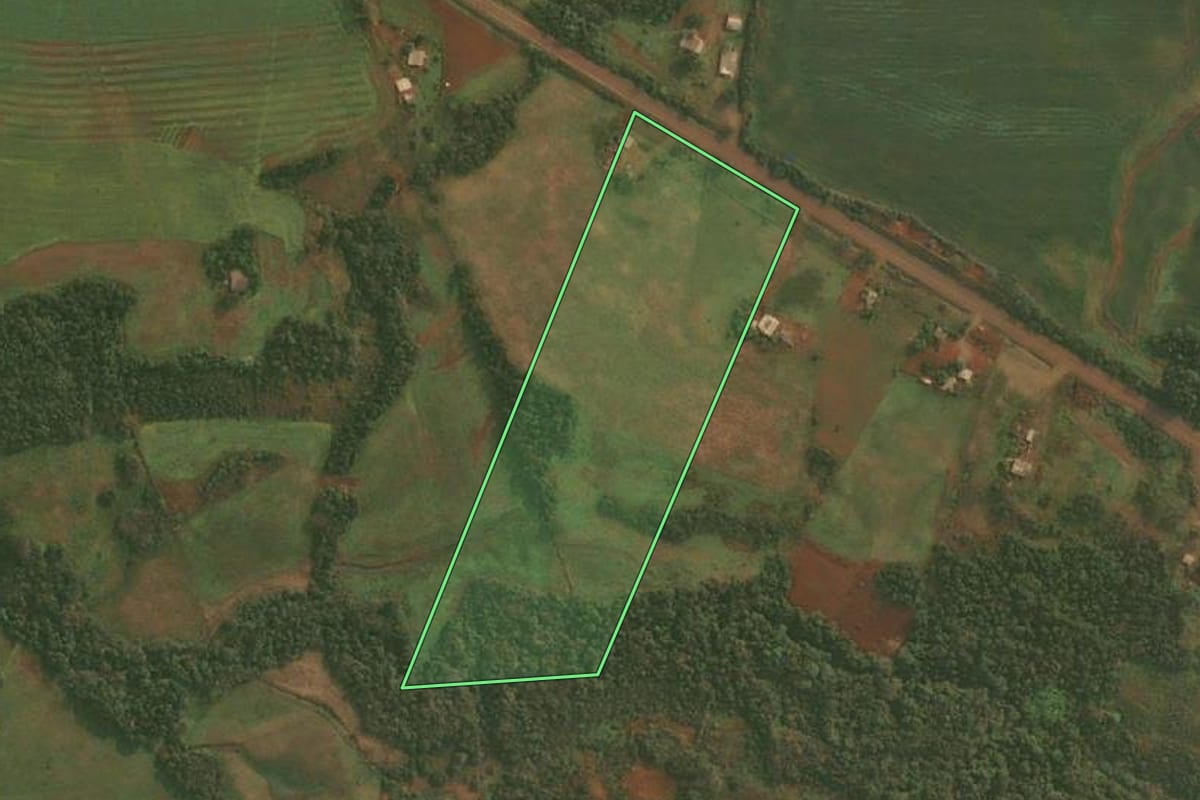 Imagem de satélite do imóvel rural em Roque Gonzales (RS), com o contorno declarado no CAR desenhado por cima.