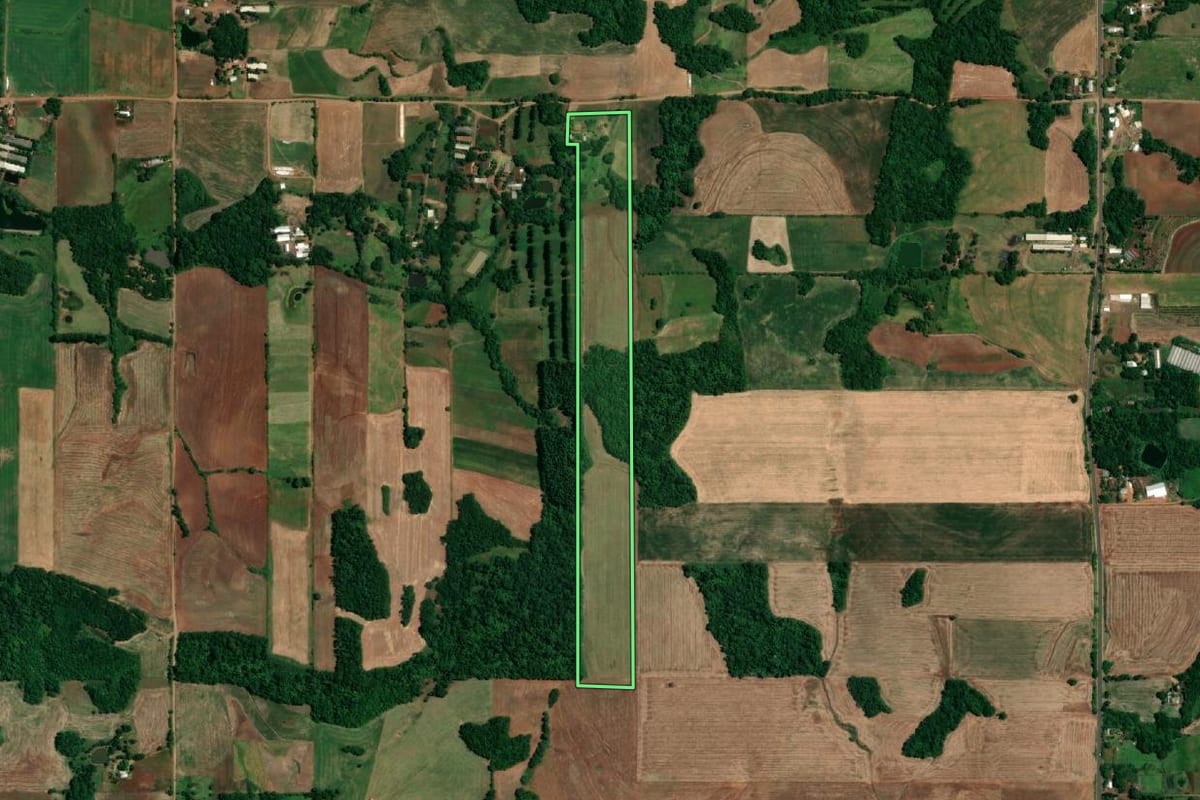 Imagem de satélite do imóvel rural em Roque Gonzales (RS), com o contorno declarado no CAR desenhado por cima.