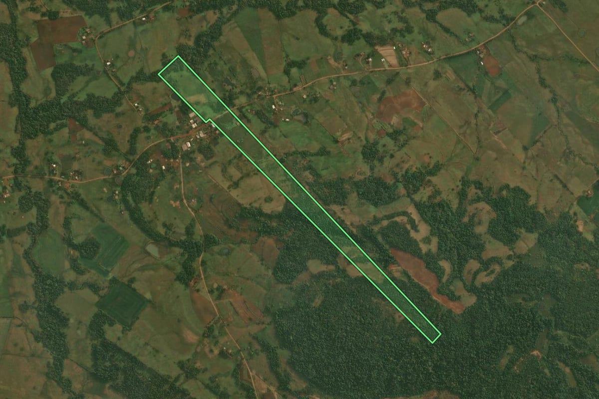 Imagem de satélite do imóvel rural em Roque Gonzales (RS), com o contorno declarado no CAR desenhado por cima.