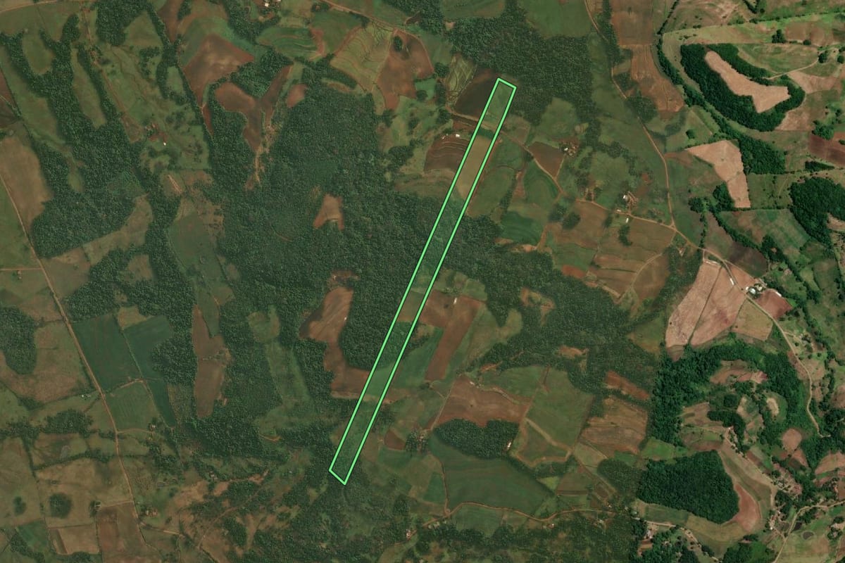 Imagem de satélite do imóvel rural em Roque Gonzales (RS), com o contorno declarado no CAR desenhado por cima.